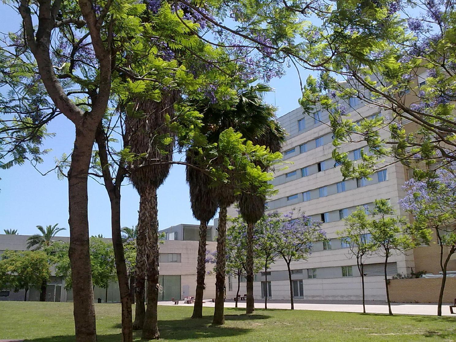 Hotel Front Maritim 4*